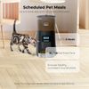 Penthouse Paws Automatic Cat Feeder , 6L with LCD Panel Black/Stainless Steel