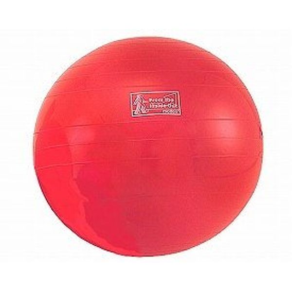 Exercise Ball Diameter 65cm