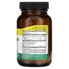 Papaya Digestive Support, Pineapple Papaya, 200 Chewable Wafers