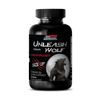 Nettle Extract - Unleash Your Wolf 2170mg - Performance Enhancement 1 Bottles