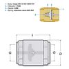 WITTKOWARE Brass Check Valve, IG/IG, DN10 (3/8 Inch)