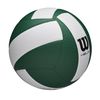 Wilson HELIX VB GAME BALL, Green/White