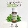 Pranarom Peppermint Essential Oil, 15mL, Pure, Aromatherapy