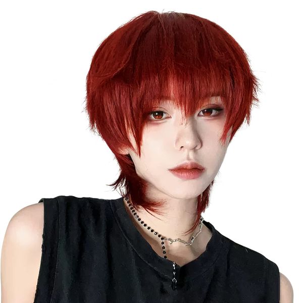 ARZER Men's Wolf Cut Wig, Full Wig, Short, Men's Clothing, Harajuku, Cool, Handsome, Light, Natural, Small Face, Heat Resistant, Fashion, For Men and Women, School Festivals, Photography, Net Included