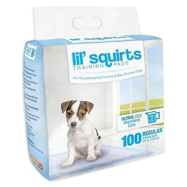 Lil' Squirts Puppy Training Pads 100 Pk.