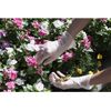 [ESCO] EA354GA-121 Gloves, No PVC Powder, 100 Sheets (S)
