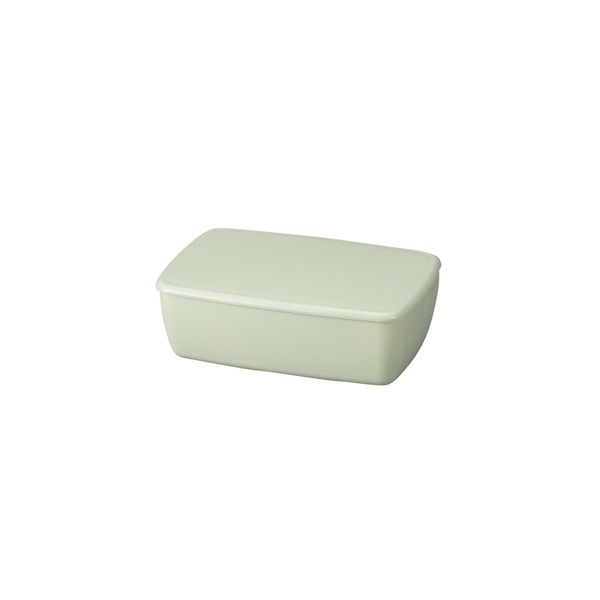 Tatsumiya Pistachio 600 30487 Quick Washable Lunch Box
