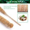 Coco Coir Bendable Moss Pole for Monstera & Cheese Plants, 40cm
