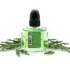 Pine Grove Home Fragrance Plugin Diffuser Oil Refill For Pier 1® Accent Diffuser