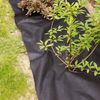 Connex FLOR80350 Mulch Fleece, Multi-Colour