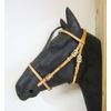 'Baroque Bridle "Aventar with Free Earrings