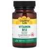 Vitamin B12 with Folate, Cherry, 100 Lozenges