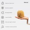 Naroa Natural Sea Sponge for Bathing | Exfoliating Bath Sponge for Healthy Skin | Unbleached Shower Body Scrubber Puff | Eco Friendly Plastic Free Renewable Sponge Small (Small)