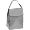 Cool bag. Colour: grey