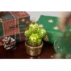 2pcs Blown Glass Cactus Ornaments for Christmas Tree