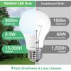 LED Light Bulbs Daylight 5000K, 60 Watt Equivalent LED Bulbs, A19 Standard Bu...