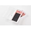 MODO LASH Sable 12 Row False Eyelash Extensions C Curl 0.15 Thickness (8mm)