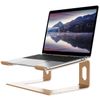 ALASHI Laptop Stand for Desk, Aluminum Computer Riser, Ergonomic Notebook Hol...