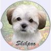 Shihpoo Absorbent Stone CAR Coaster by E&S Pets