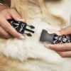 Buckle-Down Plastic Clip Collar - Bling - 1/2" Wide - Fits 8-12" Neck - Medium