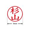 Plus Seal Name Cube Blue Sugiyama 61-488 IS-009NQ