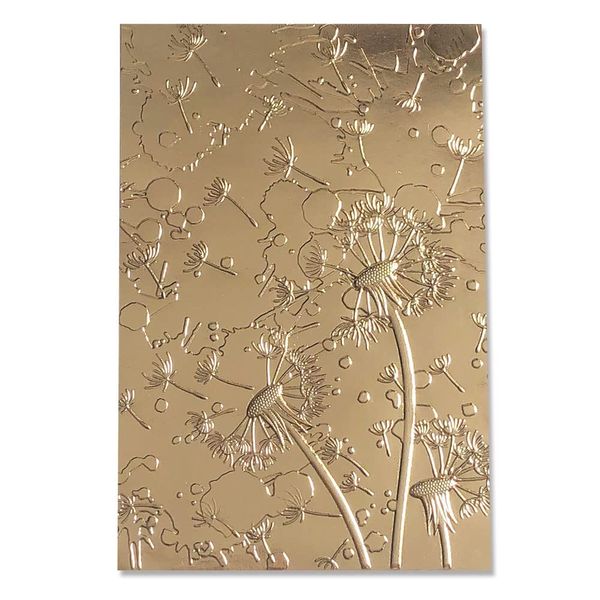 Sizzix 3-D Textured Impressions Embossing Folder Dandelion Wish by Kath Breen, 665001, Multicolor