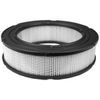 Replacement Air Filter For Briggs & Stratton 692519. Includes Replacement Washable Pre-Filter For 692520 by Briggs & Stratton