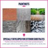 PaintNuts Multi-Surface Paint - RAL-7016 - ANTHRACITE GREY - 250ml Tin - Gloss Finish