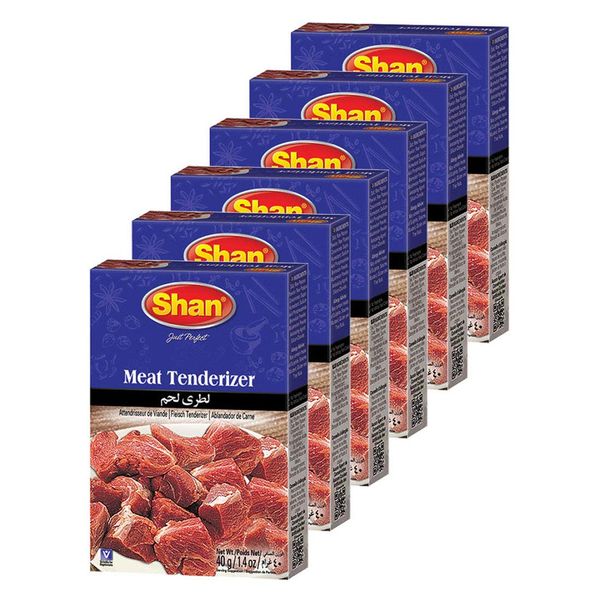 Shan Meat Tenderizer Seasoning Mix 1.4 oz (40g) - Double Strength Tenderizing High Altitude Cooking Powder - Suitable for Vegetarians - Airtight Bag in a Box (Pack of 6)