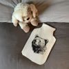 'Bear' Hot Water Bottle Cover (HW00029840)