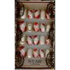 Wing Beat Nail Tip ST-006