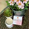REVIVA LABS - Light Skin Peel Mild Exfoliant 2 oz