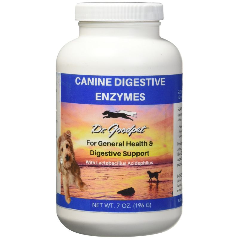 Dr. Goodpet - Canine Formula Digestive Enzymes - 7 oz - Online ...