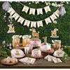 Little Deer Birthday Napkins, 16 ct