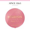 Bourjois Little Round Pot Blusher Rose Frisson