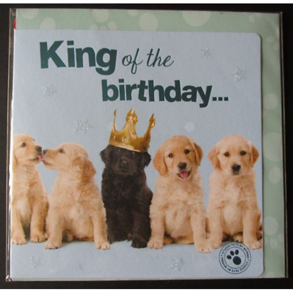 Studio Pets Puppy Birthday Card 'King of the Birthday'