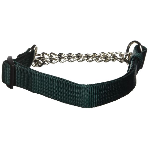 Hamilton Pet & Equine Hamilton 1 by 20 to 32-Inch Adjustable Combo Choke Dog Collar, Large, Chain and Dark Green Nylon