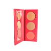 Erika's Makeup Kit - Matte Lip Kit + Gloss + Contour, Blush & Highlighter Palette