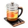 Electric Kettle Health Pot Multifunction Tea Maker and Kettle 1.8 L With Filter