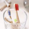A Good Company Toothbrush Head 4-Pack from Bamboo, Multicolored, Regular