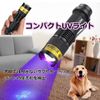 Darkbeam Black Light 365nm Wavelength UV Light LED