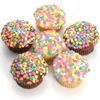 Confetti Belgian Chocolate Gourmet Cupcakes- 6 Pack