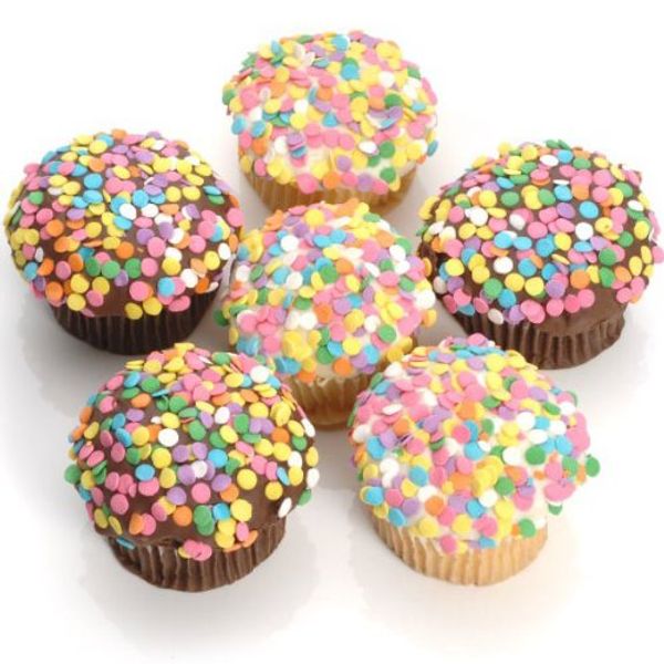 Confetti Belgian Chocolate Gourmet Cupcakes- 6 Pack