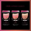 Orb Brush Single Coat Blush 01 Refill Pink 5.7g