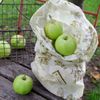 beeskin Beeswax Bag - L 25 x 45 cm (Flower)