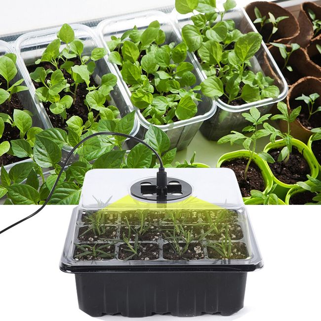 Seed Starter Tray Kit with Grow Light
