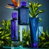 R+Co Bleu Ingenious Thickening Shampoo 251 ml / 8.5 oz