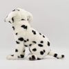 Dalmatian 28 bh6724