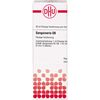 Sanguinaria D6 DHU Dilution, 20 ml Lösung