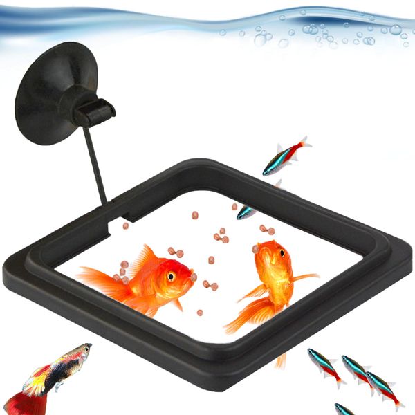 SunGrow Fish Food Feeding Ring, Stop Water Turbulence from Washing Food & Floating Plants into Filter, Suitable for Flakes & Floating Fish Pellets, for Goldfish, Guppy, Neon Tetra, Betta, 1 Piece